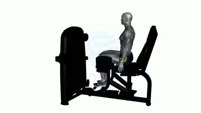 Abductores en máquina: posición del ejercicio