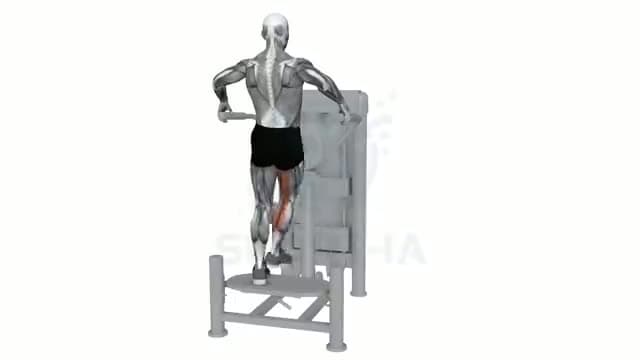 Aductores en máquina multicadera: posición del ejercicio