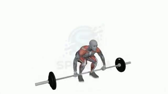 Cargada de potencia: posición del ejercicio