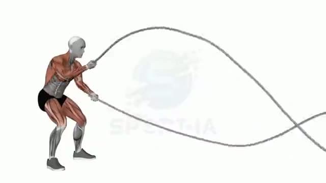 Cuerdas de batalla: posición del ejercicio