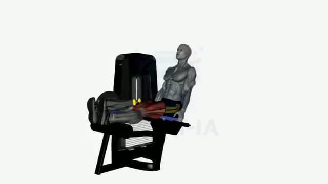 Curl femoral sentado: posición del ejercicio