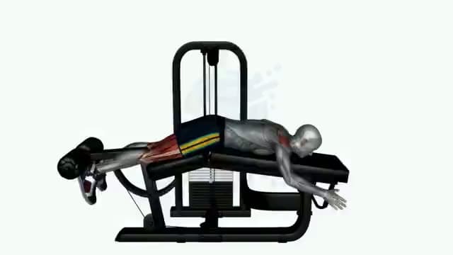 Curl femoral tumbado: posición del ejercicio