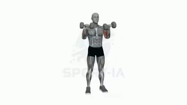 Curl invertido con mancuernas: posición del ejercicio