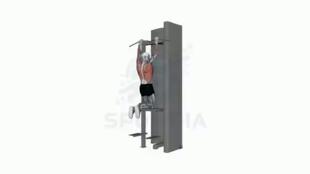 Dominadas asistidas en máquina: posición del ejercicio