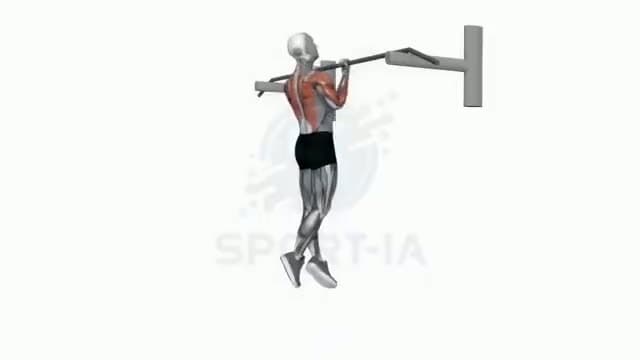 Dominadas supinas: posición del ejercicio