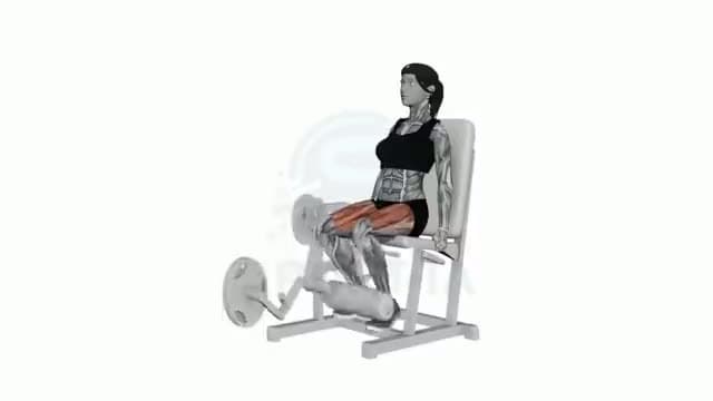 Extensión de cuádriceps: posición del ejercicio