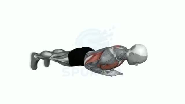 Flexiones diamante: posición del ejercicio