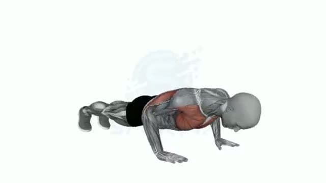 Flexiones explosivas: posición del ejercicio