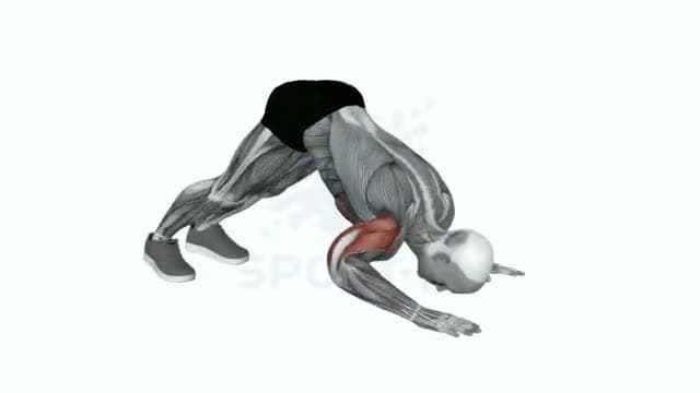 Flexiones pike: posición del ejercicio