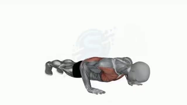 Flexiones: posición del ejercicio