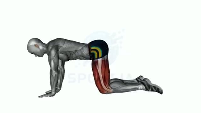 Hidrante: posición del ejercicio
