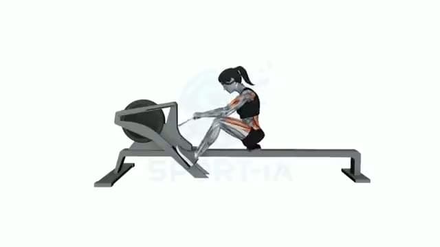 Máquina de remo: posición del ejercicio