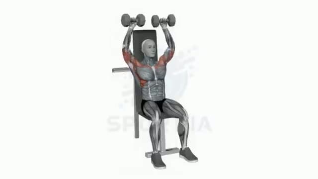 Press de hombros con mancuernas: posición del ejercicio