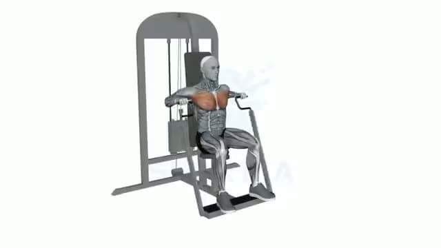 Press de pecho en máquina: posición del ejercicio