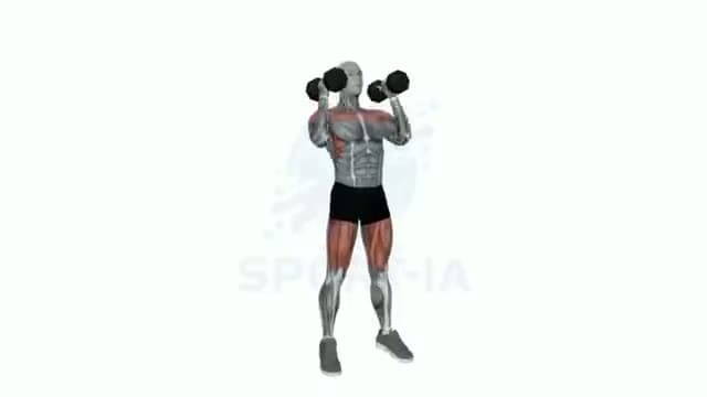 Push press con mancuernas: posición del ejercicio