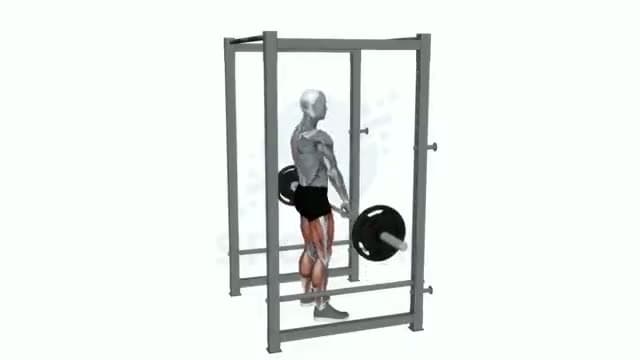 Rack pull: posición del ejercicio
