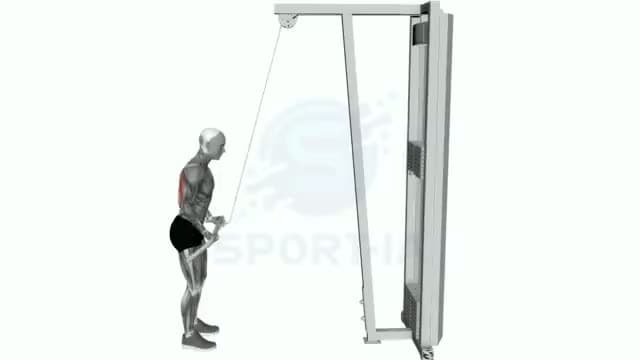 Tríceps en polea con agarre invertido: posición del ejercicio