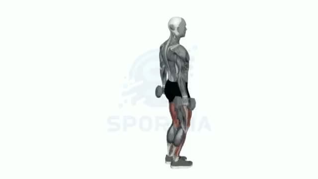 Zancada inversa con mancuernas: posición del ejercicio